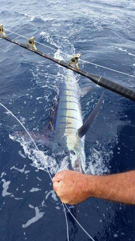 DOMINICAN REPUBLIC FISHING TOURNAMENT