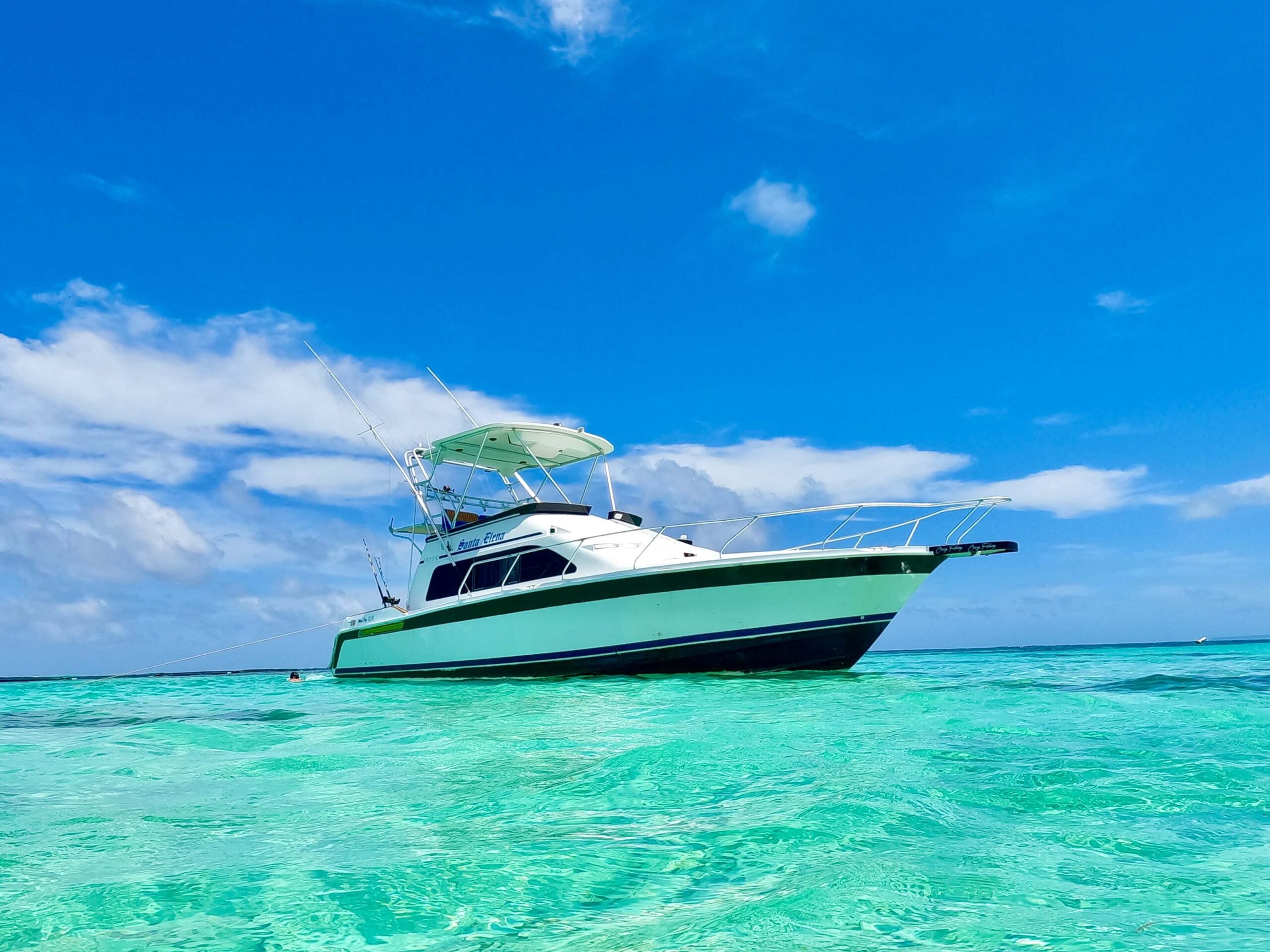 punta cana deep sea fishing